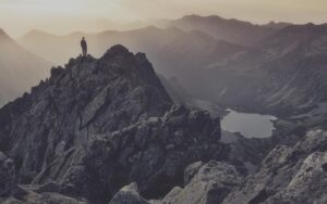 How Insurance Brokers Save You Time and Money on Coverage